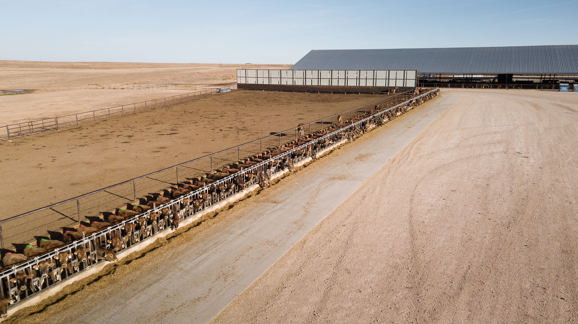 Avilanche Dairy Dalhart Real Estate Dalhart, TX